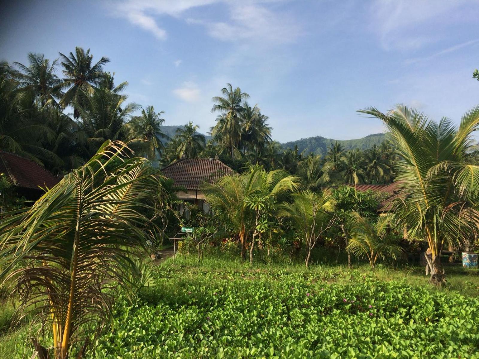 Bali Segara Lestari Oceanfront Villas Tejakula Exteriér fotografie