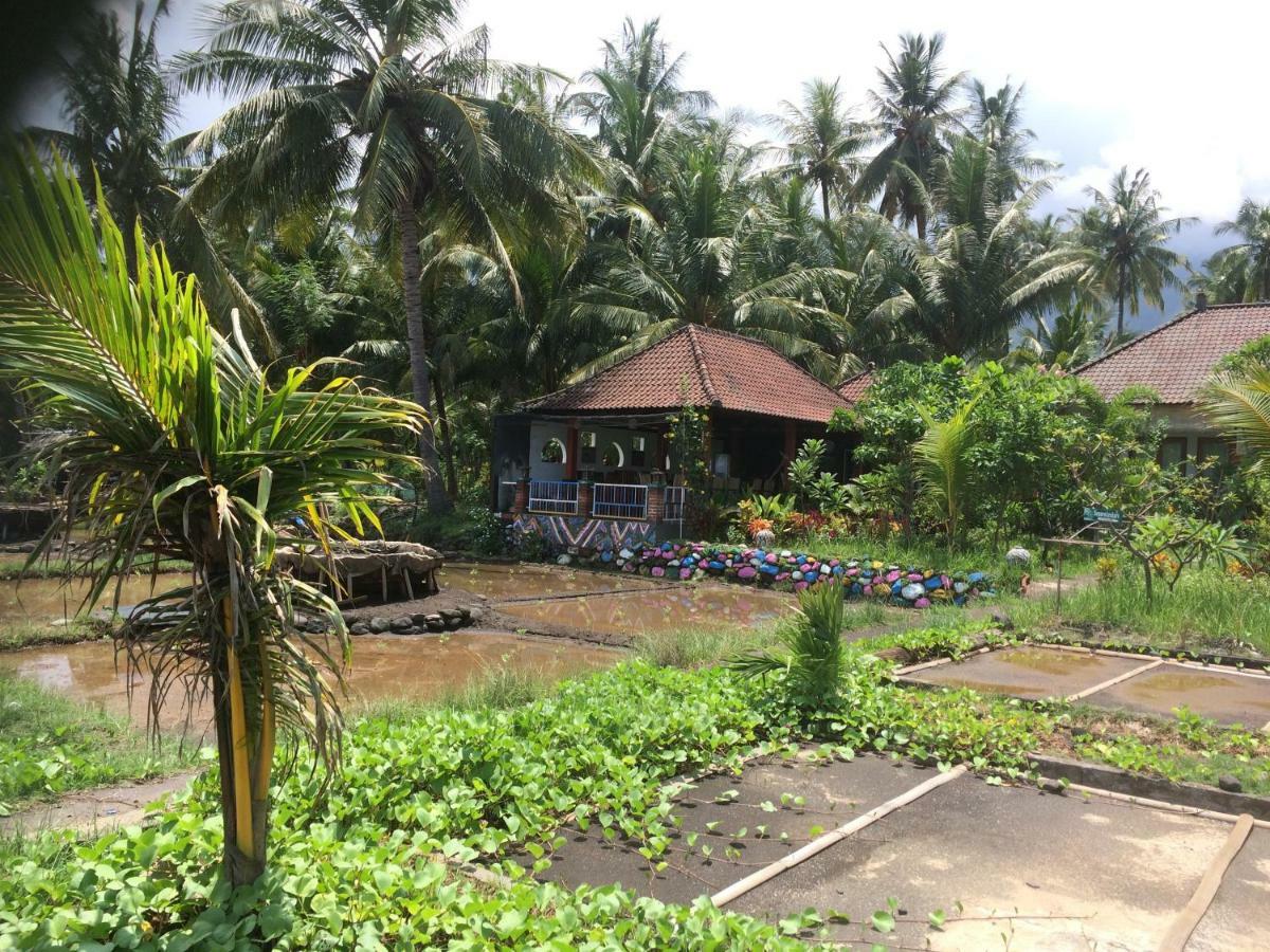 Bali Segara Lestari Oceanfront Villas Tejakula Exteriér fotografie